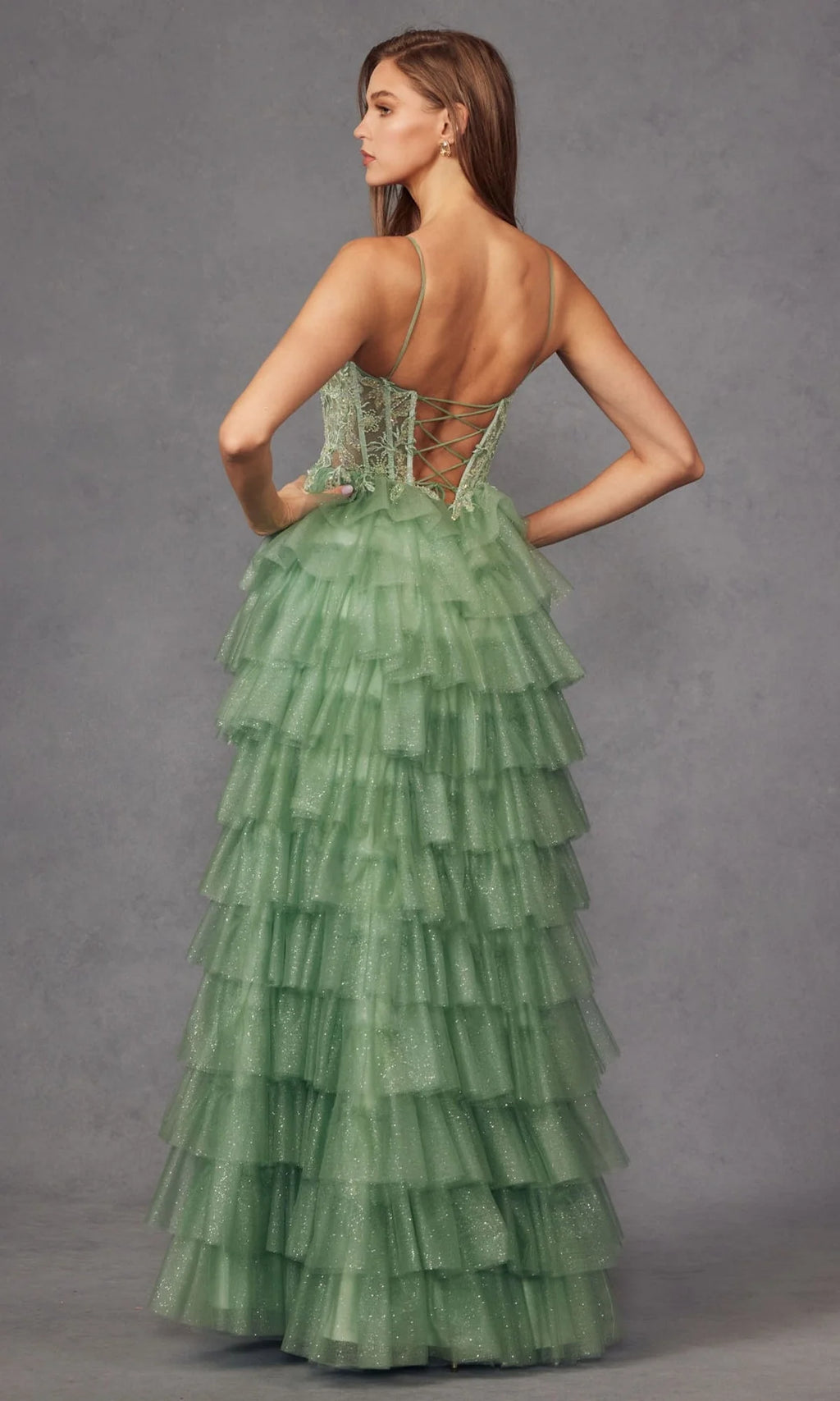 Juliet Long Formal Dress jt2458a