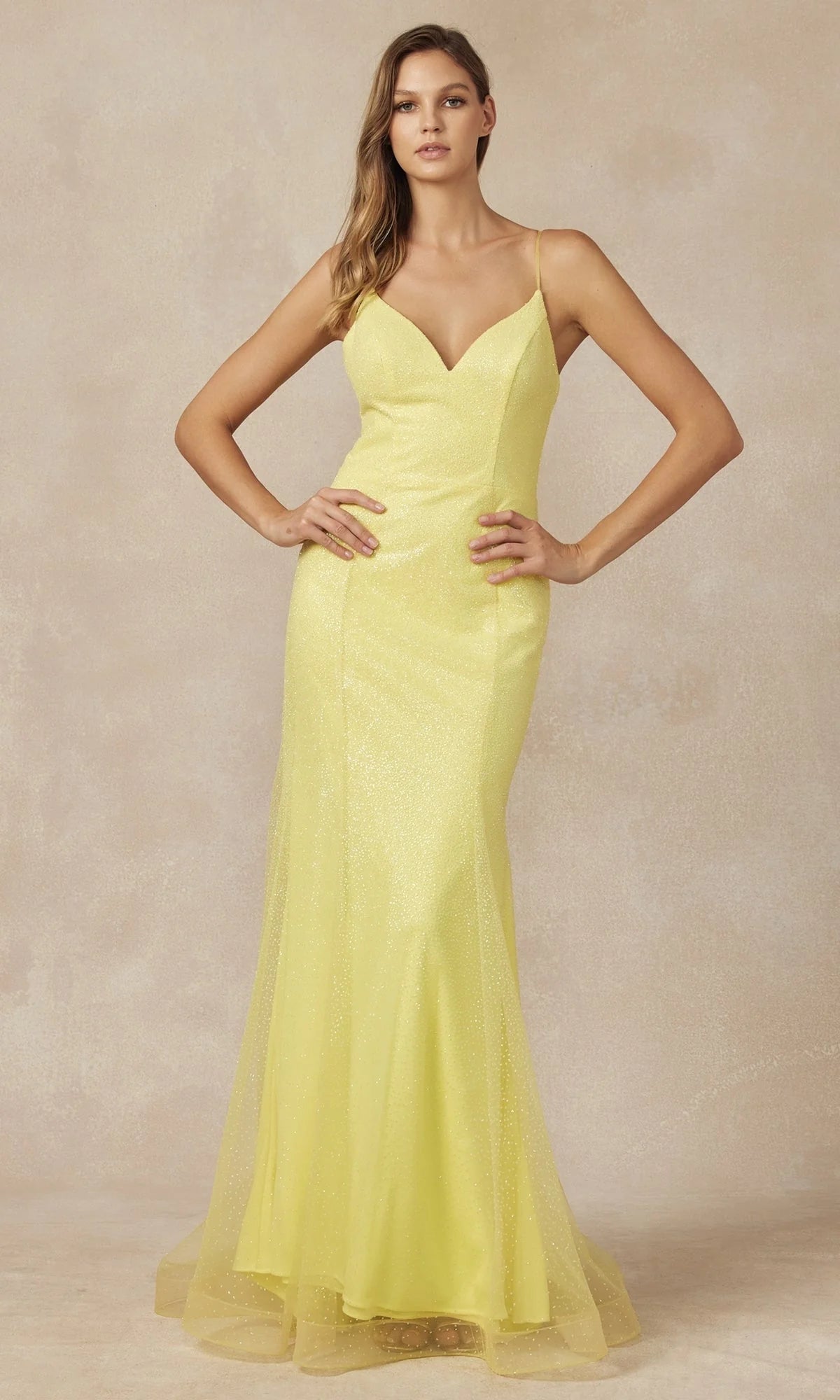 Juliet Long Formal Dress 271